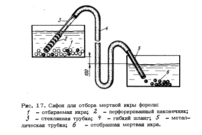 Схема садков для форели Схема садков для форели