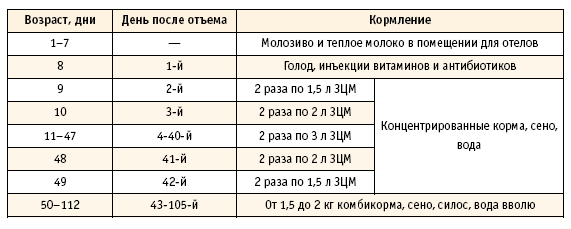 Схема выпойки телят до 3 месяцев фото 853